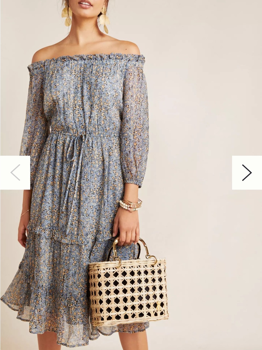 Anthropologie Ruffle Neck Maxi Dress